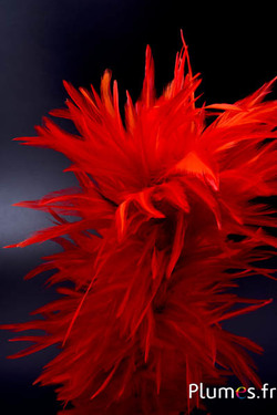 Federbusch Hahn mit Bügel - Höhe 40 cm - blutorange